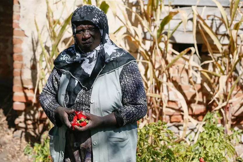 Egeli Siyahi.                                                                              Hatice Doğuluer