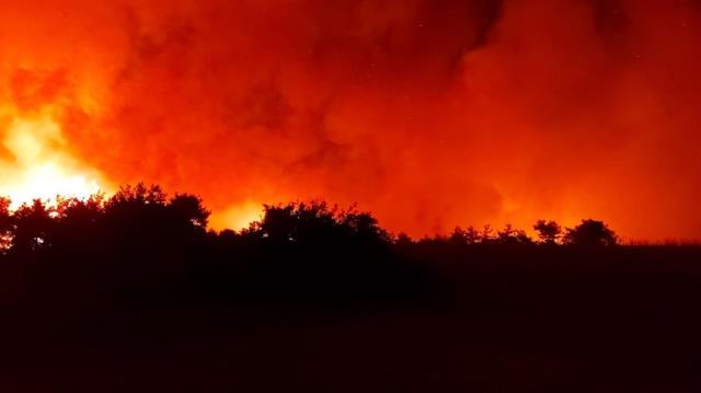 Osmaniye’nin Düziçi İlçesinde Orman Yangını