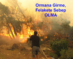 ORMANLIK ALANLARA GİRİŞ YASAĞI BAŞLADI